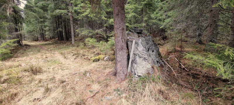 Fil:Skåksten3.jpg