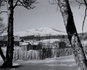 Drevdalen gård.jpg