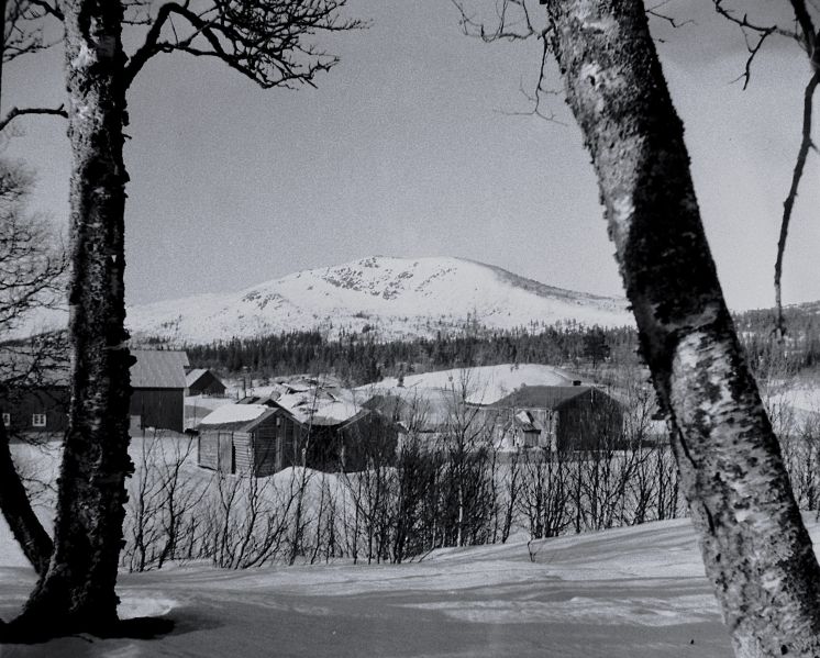 Fil:Drevdalen gård.jpg