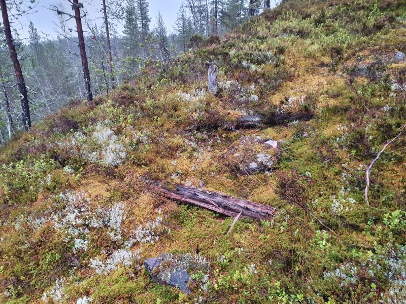 Fil:Hoppbakke i Skjæret1.jpg