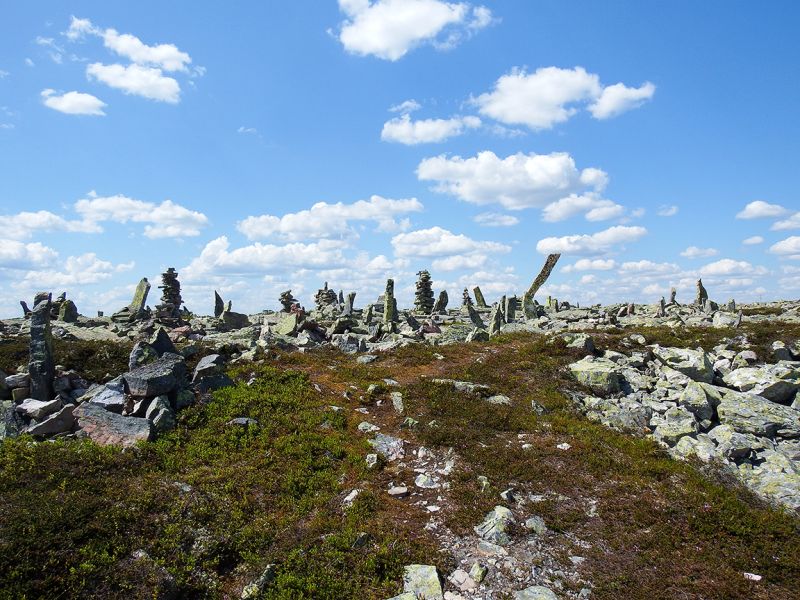 Fil:Småkara.jpg
