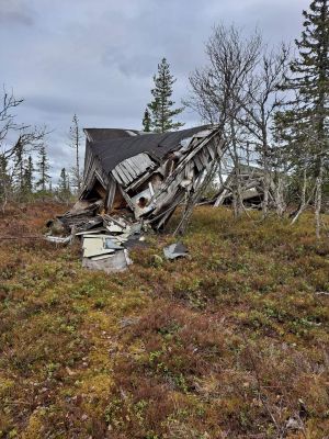 Enget ved Kvannkjeldkjølen1.jpg