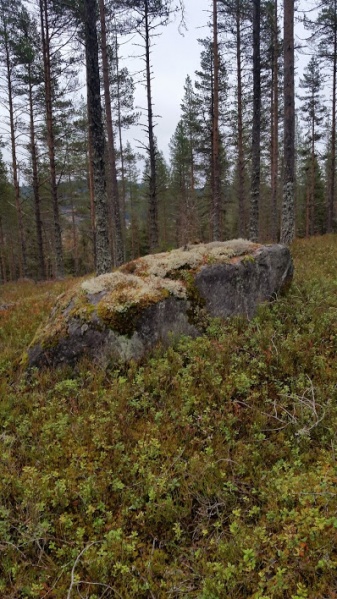 Fil:Kvilsten ved Lerbak 2.jpg