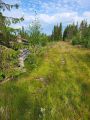 Miniatyrbilde av versjonen fra 20. aug. 2022 kl. 08:52