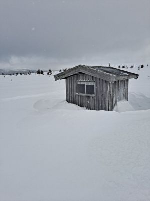 Kvilbu Søndre Skårbekkflå.jpg