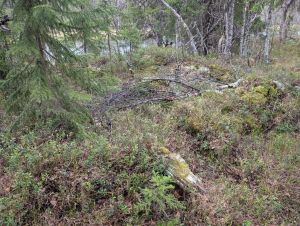 Stenengfloen koietomt2.jpg