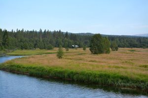 Storenget (Ljørdalen).jpg