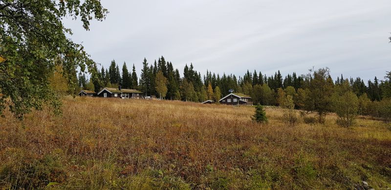 Fil:Kjølsætra.jpg