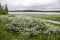 Miniatyrbilde av versjonen fra 1. jul. 2016 kl. 18:56