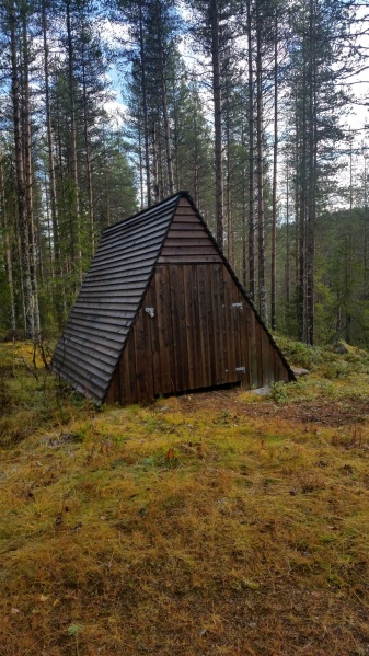 Fil:Kattskjærkoia.jpg