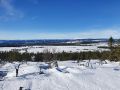 Miniatyrbilde av versjonen fra 3. mar. 2021 kl. 12:06