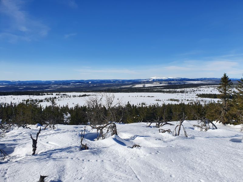 Fil:Kvannkjeldkjølen.jpg