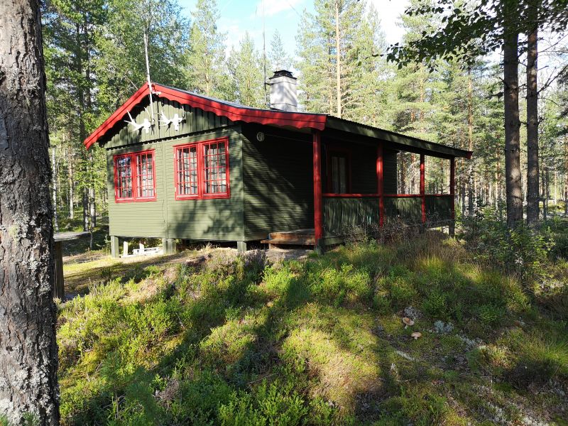 Fil:Lakkalampkoia.jpg