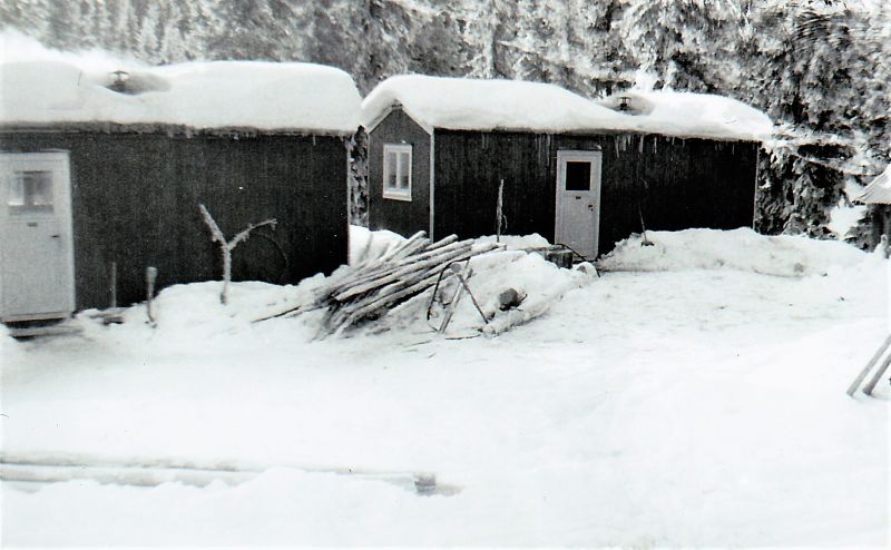 Fil:Solheimkoiene.jpg