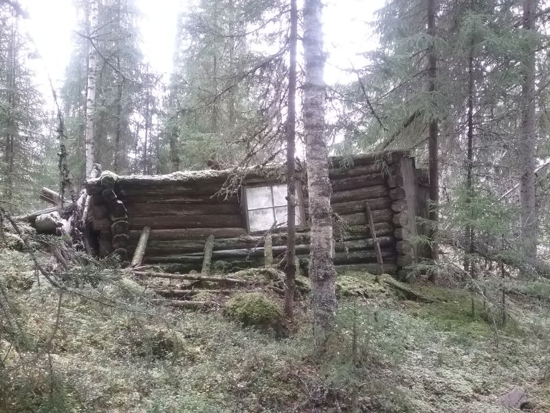 Fil:Storstenstrandkoia.jpg