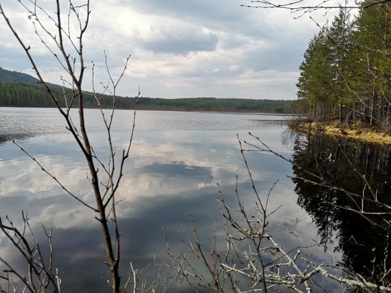 Fil:Rundsjøen1.jpg