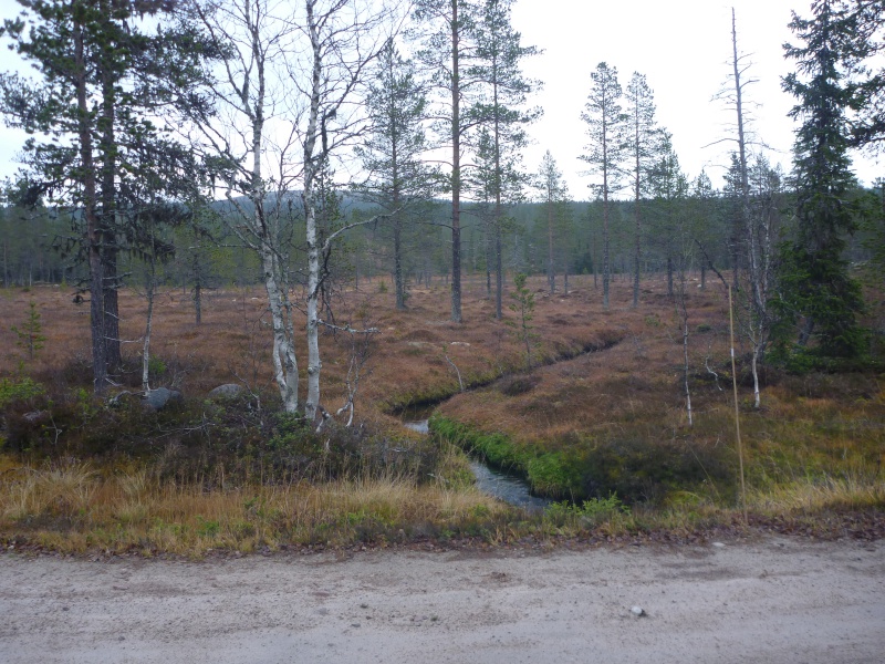Fil:Søkkjelda.jpg