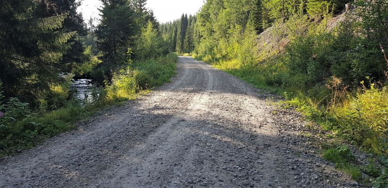Fil:Smeiedalsvegen1.jpg