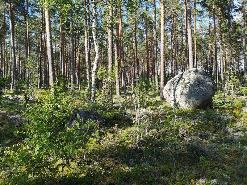Fil:Bradansmoen3.jpg