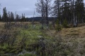 Miniatyrbilde av versjonen fra 3. jun. 2017 kl. 14:59