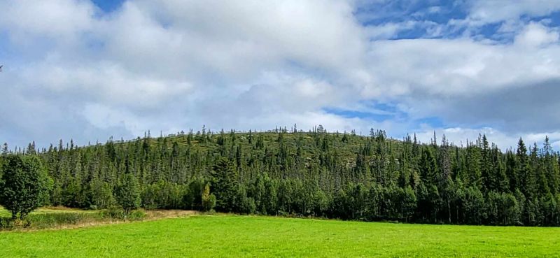 Fil:Rundhøa fjell.jpg
