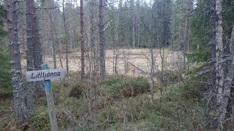 Fil:Litltjønna.jpg