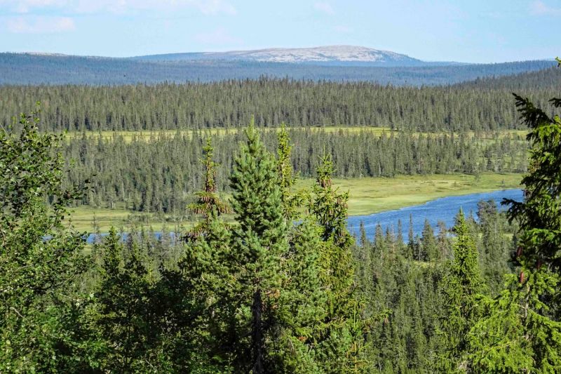 Fil:Gammelseterberget.jpg