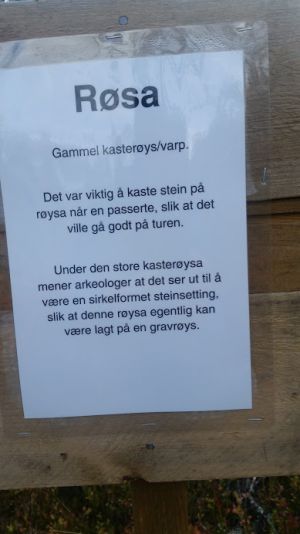 Lortsetervegen røsa2.jpg