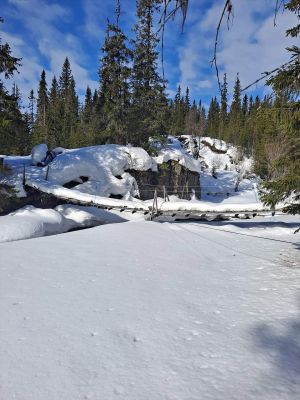 Skjæret i Bergådalen.jpg