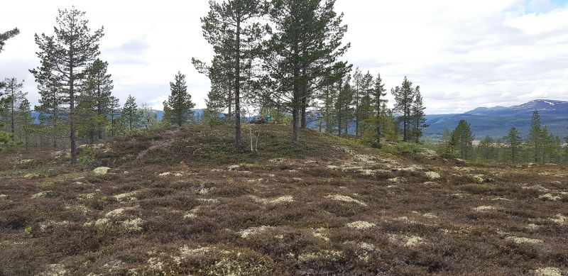 Fil:Orrhauga.jpg