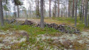 Potetåker på Slettåsen (Ljørdalen).jpg