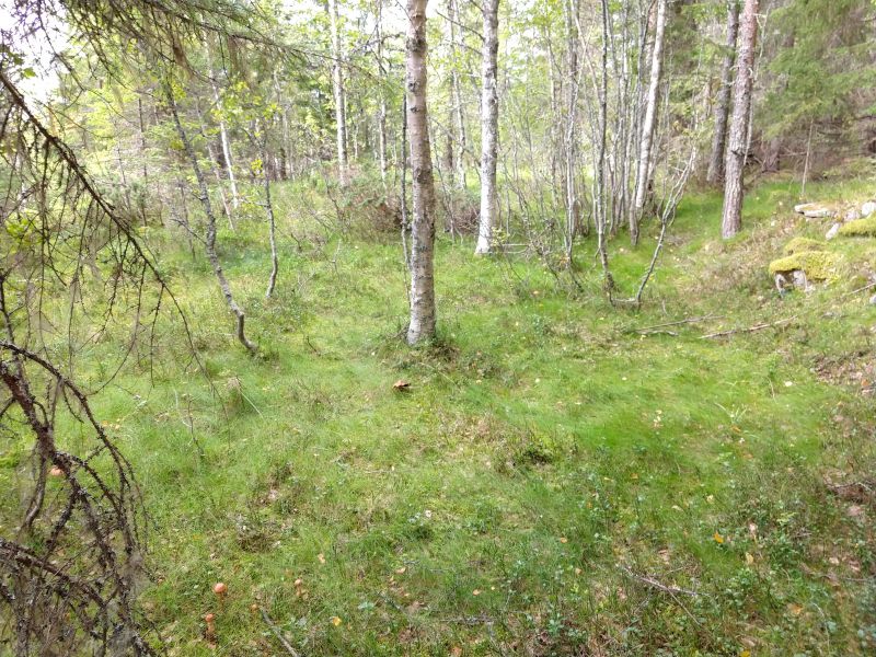 Fil:Koje-Jon-åkeren1.jpg