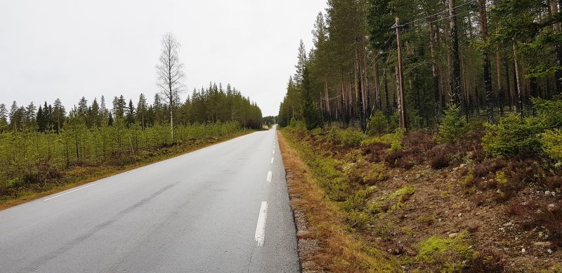 Fil:Volfeltbratta2.jpg